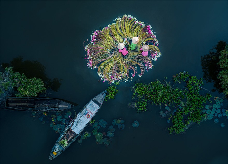Illustration for article titled Los ganadores a las mejores fotos tomadas con drones en 2019 son sencillamente alucinantes